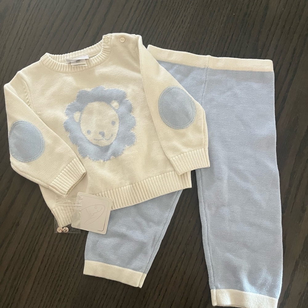 Adorable Cream and Blue Lion Sweater Set